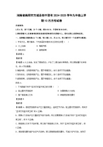 河南省南阳市方城县初中联考2024-2025学年九年级（上）10月月考化学试卷（解析版）