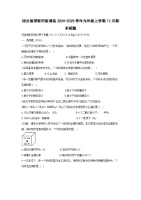 河北省邯郸市临漳县2024-2025学年九年级（上）12月期末化学试卷