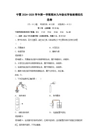 宁夏2024-2025学年第一学期期末九年级化学检测模拟优选卷化学试卷（解析版）