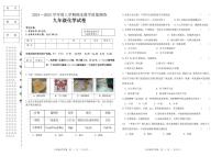黑龙江省齐齐哈尔市讷河市2024-2025学年九年级上学期期末教学质量测查化学试卷