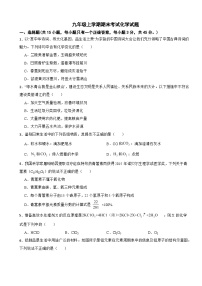 广东省河源市2024年九年级上学期期末考试化学试题附参考答案