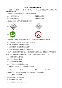 广东省梅州市2024年九年级上学期期末化学试题附参考答案