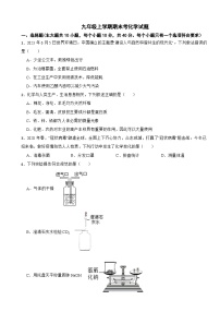 黑龙江大庆市2024年九年级上学期期末考化学试题附参考答案