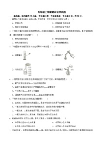 湖南省怀化市2024年九年级上学期期末化学试题附参考答案