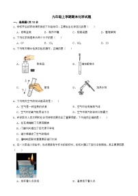 辽宁省阜新市太平区2024年九年级上学期期末化学试题附参考答案