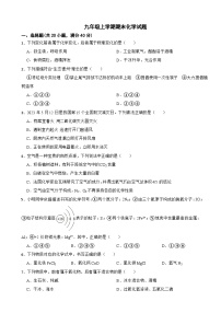 四川省绵阳市2024年九年级上学期期末化学试题附参考答案