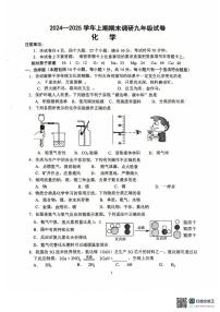 河南省周口市西华县2024-2025学年九年级上学期1月期末化学试题
