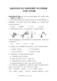 四川省自贡市蜀光绿盛实验学校2024-2025学年九年级上学期12月月考化学试题