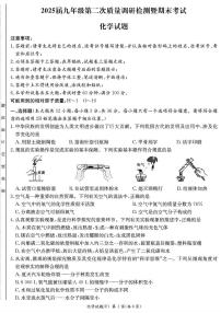 湖南省长沙市湖南师范大学附属中学2024-2025学年九年级上学期期末考试化学试题