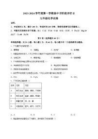 江苏省镇江市扬中市2023-2024学年九年级上学期期末化学试卷(含答案解析)