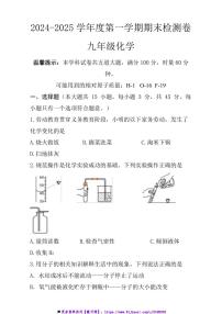 2024～2025学年湖南省岳阳市九年级上期末检测化学试卷(含答案)