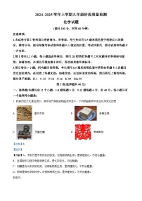 精品解析：山东省日照市岚山区2024-2025学年九年级上学期期中考试化学试卷（解析版）