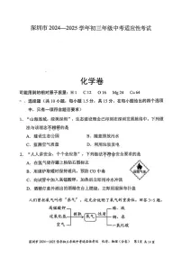 2025年广东省深圳市中考适应性考试化学卷