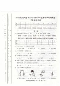 天津市武清区2024-2025学年九年级上学期期末考试化学试题