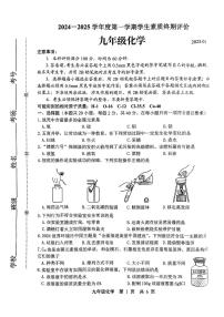 河北省唐山市路北区2024-2025年九年级上学期期末化学试卷