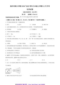 2024~2025学年江苏省扬州市树人学校九年级上12月月考化学试卷(含答案)