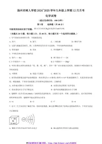 2024~2025学年江苏省扬州市树人学校九年级上12月月考化学试卷(含答案)