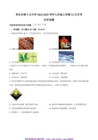 2024～2025学年山东省枣庄市第十五中学九年级上12月月考化学试卷(含答案)