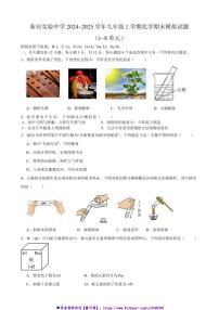 2024~2025学年安徽省合肥市新站实验中学九年级上化学期末模拟试卷(含答案)