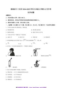 2024～2025学年湖南省十三市州九年级上12月月考化学试卷(含答案)