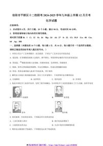 2024～2025学年河南省信阳市平桥区十二校联考(月考)九年级上12月月考化学试卷(含答案)