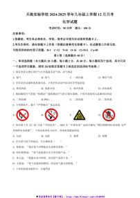 2024～2025学年广西南宁市天桃实验学校九年级上12月月考化学试卷(含答案)