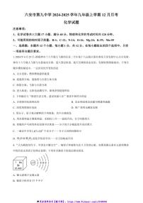 2024～2025学年安徽省六安市裕安区六安市第九中学九年级上12月月考化学试卷(含答案)