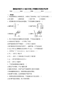 湖南省岳阳市2025届九年级上学期期末检测化学试卷(含答案)