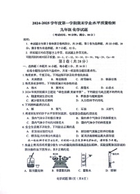 山东省青岛市市南区2024-2025学年九年级上学期期末质量检测化学试题