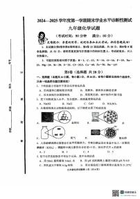 山东省青岛市即墨市2024-2025学年九年级上学期期末化学试卷