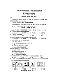 山东省青岛市莱西市2024-2025学年九年级上学期期末质量检测化学试题