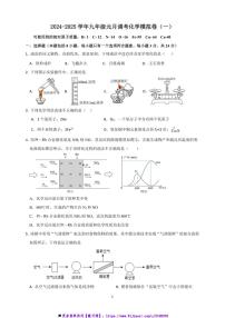 2024～2025学年湖北省武汉市九年级上月考元月调考化学模拟卷(一)试卷(含答案)