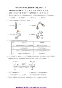 2024～2025学年湖北省武汉市九年级上月考元月调考化学模拟卷(二)试卷(含答案)