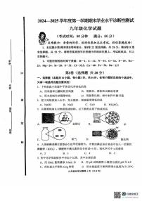 山东省青岛市即墨市2024-2025学年九年级上学期期末化学试卷