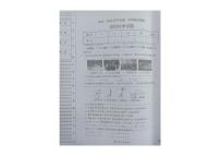 黑龙江省绥化市望奎县2024-2025学年九年级（五四学制）上学期期末考试化学试卷