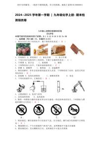 2024~2025学年第一学期  九年级化学上册：期末检测培优卷