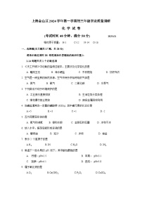 上海市金山区2024-2025学年九年级上学期期末（一模）化学试卷