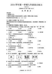 2025年上海市奉贤区初三一模 化学试卷（原卷+参考答案）