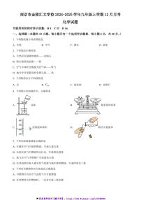 2024～2025学年江苏省南京市金陵汇文学校九年级上12月月考化学试卷(含答案)