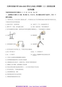 2024～2025学年天津市实验中学九年级上第(三)次阶段反馈月考化学试卷(含答案)