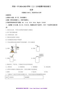 2024～2025学年福建省厦门市同安第一中学九年级上期中化学试卷(含答案)