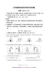 2024～2025学年广东省深圳市龙岗区期末九年级上适应性试卷化学试卷(含答案)