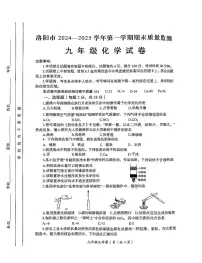 2024-2025学年河南省洛阳市九年级上学期期末化学试卷
