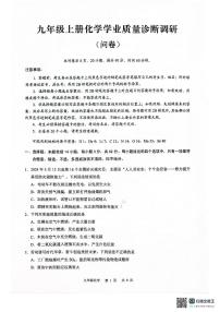 广东省广州市白云区2024-2025学年九年级上学期期末考试化学试卷