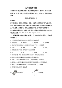 山东省泰安市东平县2023-2024学年八年级上学期期末 化学试题（含解析）