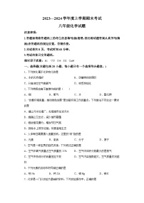 山东省泰安市肥城市2023-2024学年八年级上学期期末考试 化学试题（含解析）