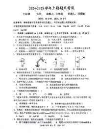 河南省实验中学2024-2025学年九年级上学期期末考试化学试卷及答案