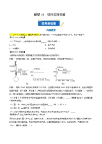 题型04 项目式探究题-2024-2025上学期期末九年级化学题型专练（1-8单元）