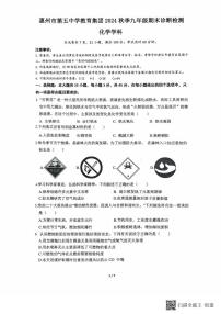 广东省惠州市惠城区第五中学教育集团2024-2025学年九年级上学期期末考试化学试卷