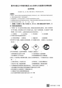 广东省惠州市惠城区第五中学教育集团2024-2025学年九年级上学期期末考试化学试卷